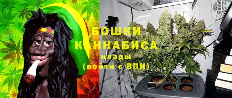 Шишки марихуана SATIVA & INDICA  Новоалександровск 